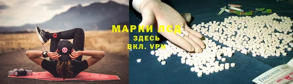 сатива Абинск