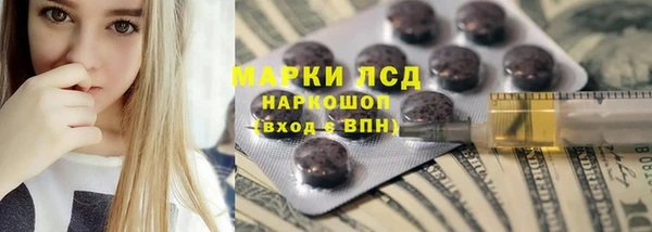 сатива Абинск