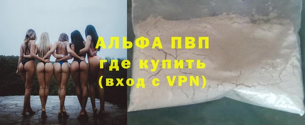сатива Абинск