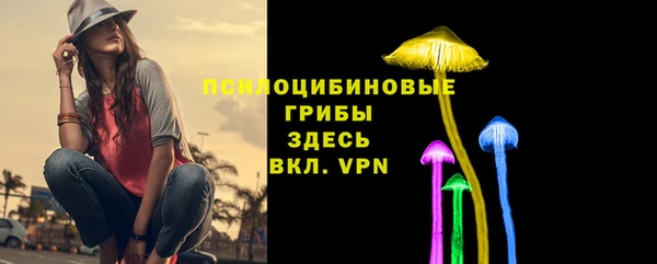 сатива Абинск