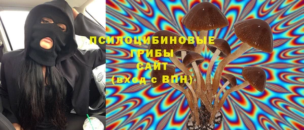 сатива Абинск