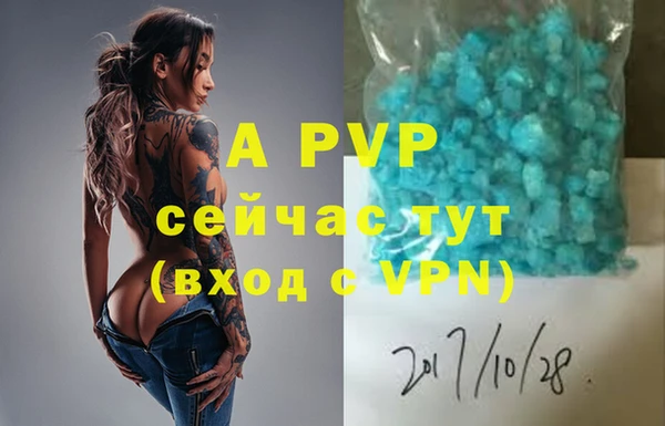сатива Абинск