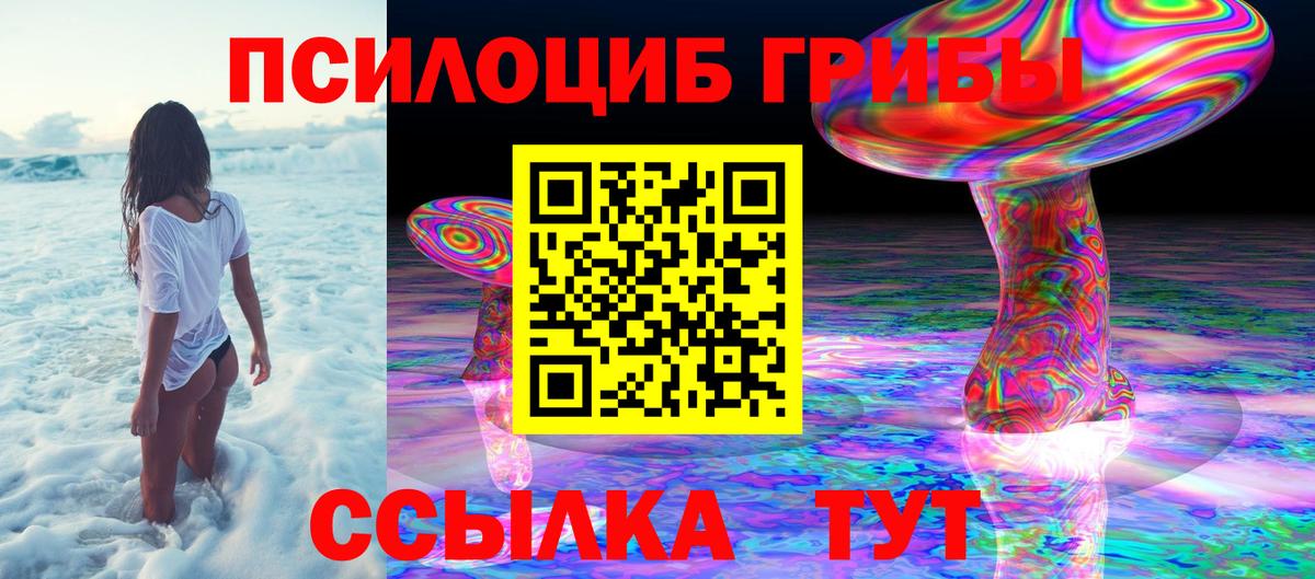 Альфа ПВП Александров