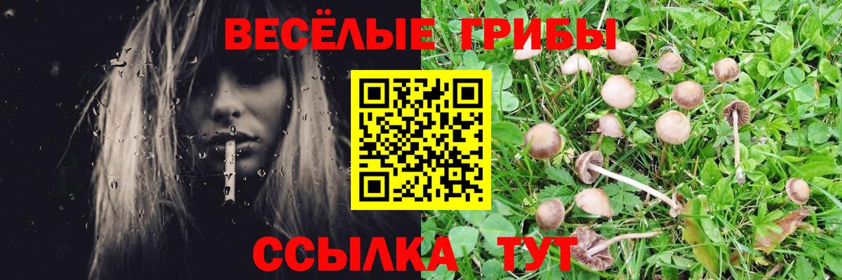 Галлюциногенные грибы MAGIC MUSHROOMS Александров
